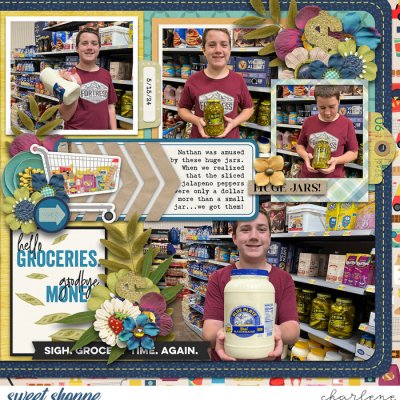 Grocery Partner - right side