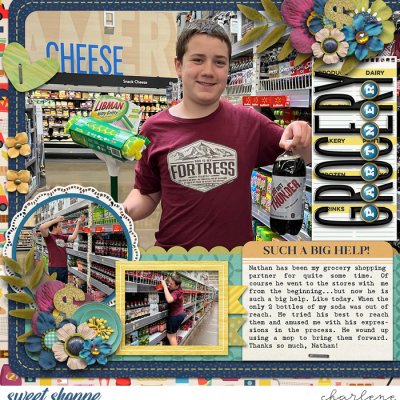 Grocery Partner - left side