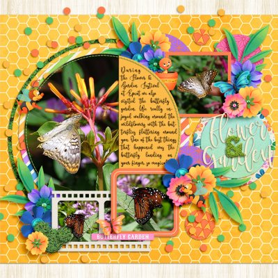 Flower & Garden