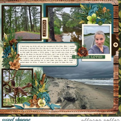 Beach hike right