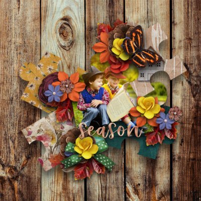 Season Of Wonders