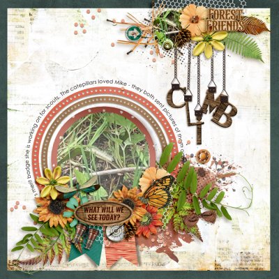 tnp-FLOWERFANCY-cherylLO1