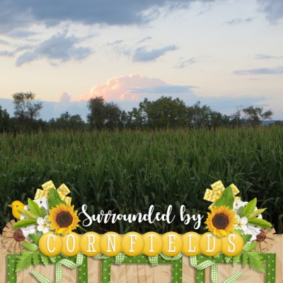 Surrounded by Cornfields