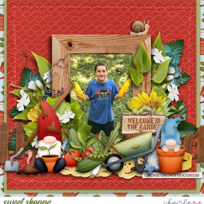 In The Garden