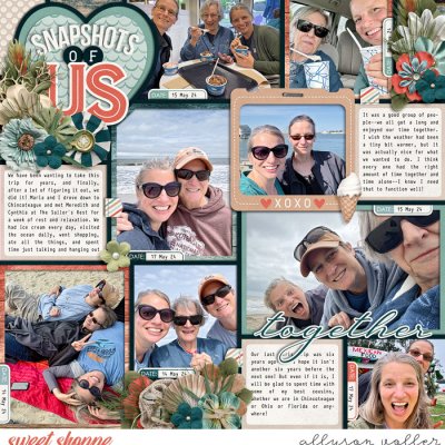 Snapshots of Us