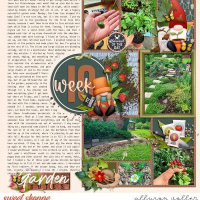 2024 19 week garden notes 01