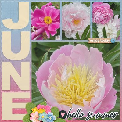 June Flowers