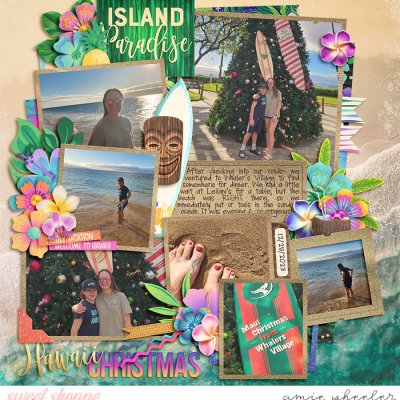 Hawaii Christmas