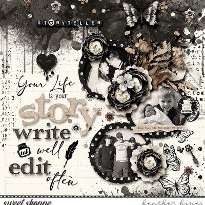 Storyteller