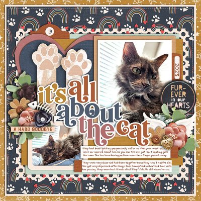 It's All About the Cat