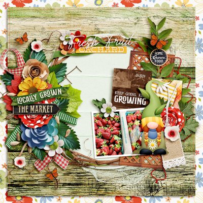 Farm to Table: Fresh Fruit