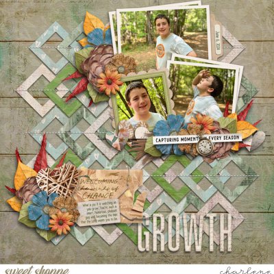 Growth
