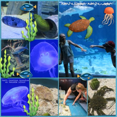 North Carolina Aquarium on Roanake Island