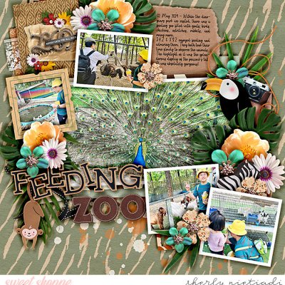 Feeding Zoo