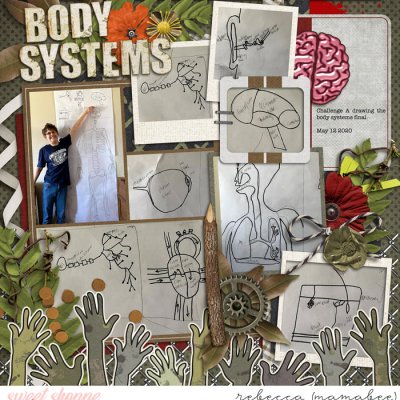 Drawing the Body Systems