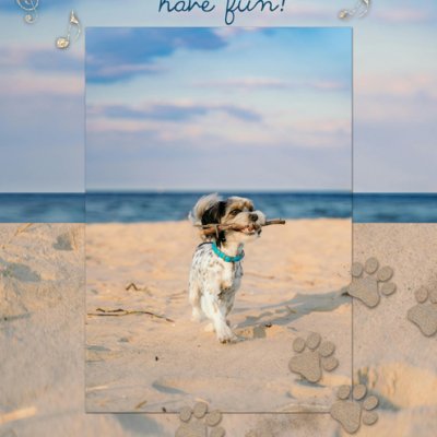 Dogs just wanna have fun!