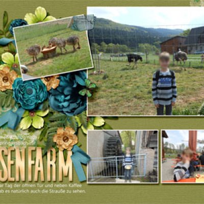 Ostrich farm