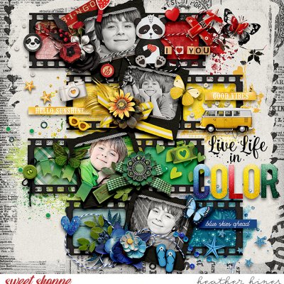 Live Life In Color