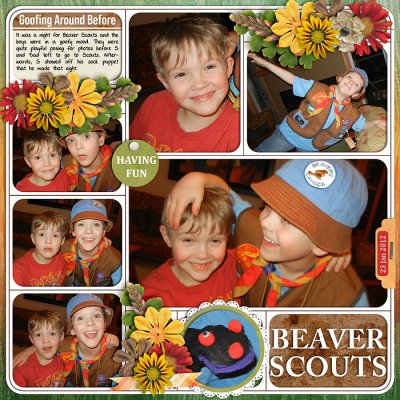 Beaver Scouts
