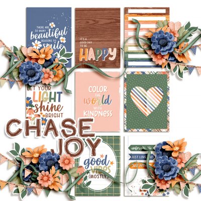 Chase Joy