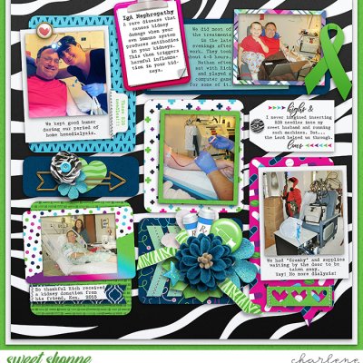 IgA Nephropathy