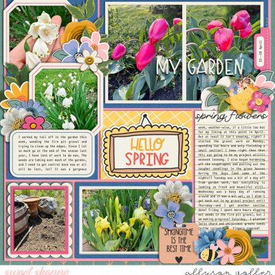 2024 17 week garden notes left