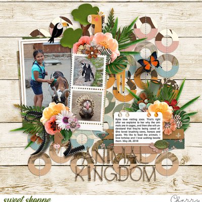 Animal Kingdom