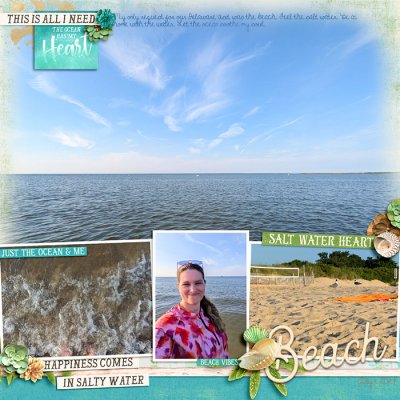 2024 Savannah Beach