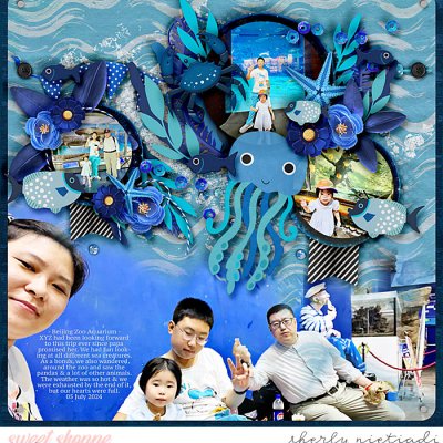 Aquarium trip
