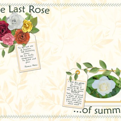 The Last Rose of Summer