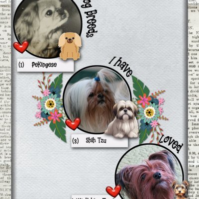 Dog Breeds I Have Loved