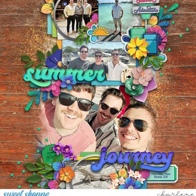Summer Journey