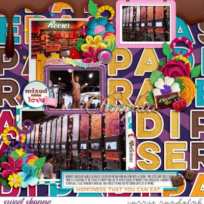 Chocolate Paradise