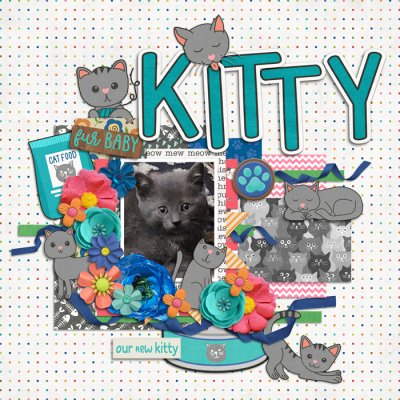 Wordle Layout - Kitty