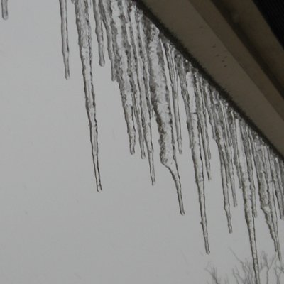 Favorite picture of January
