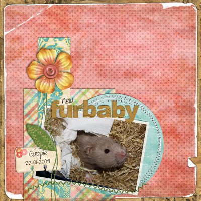 New Furbaby