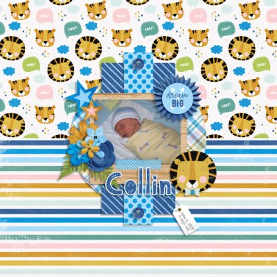 Collin- 6 days old