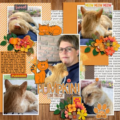 Pumpkin