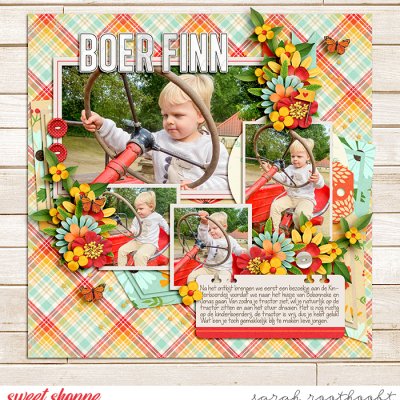 Boer Finn