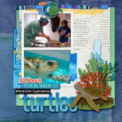turtles