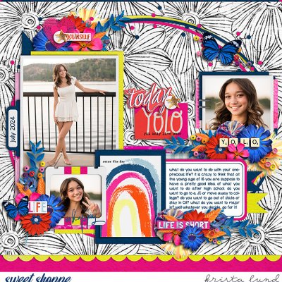 SSD-KL-2024_07-kYOLO-copy