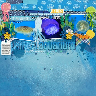 National Aquarium Jellies