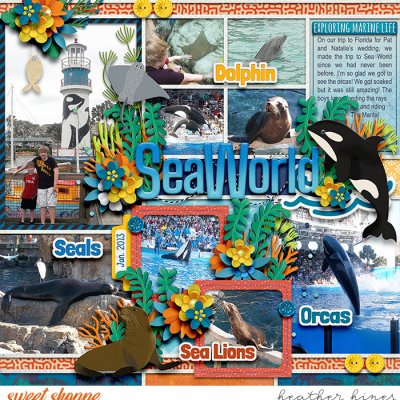 Sea World