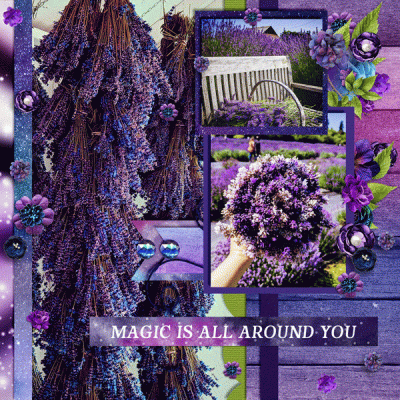 Lavender