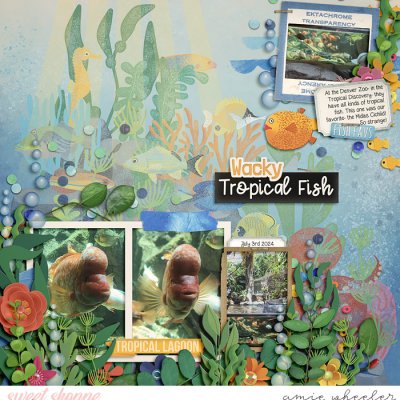 Wacky Tropical Fish