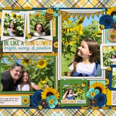 Sunflower Field