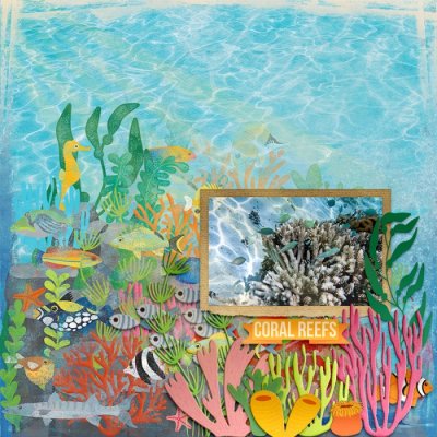 CM_Ocean_Aquairium