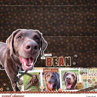 Scrap-a-thon Aug. 3: Swimming