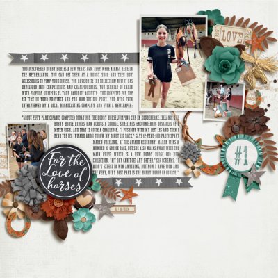 For The Love Of (Hobby) Horses