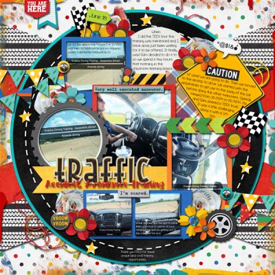 Traffic Accident Avoidance Training